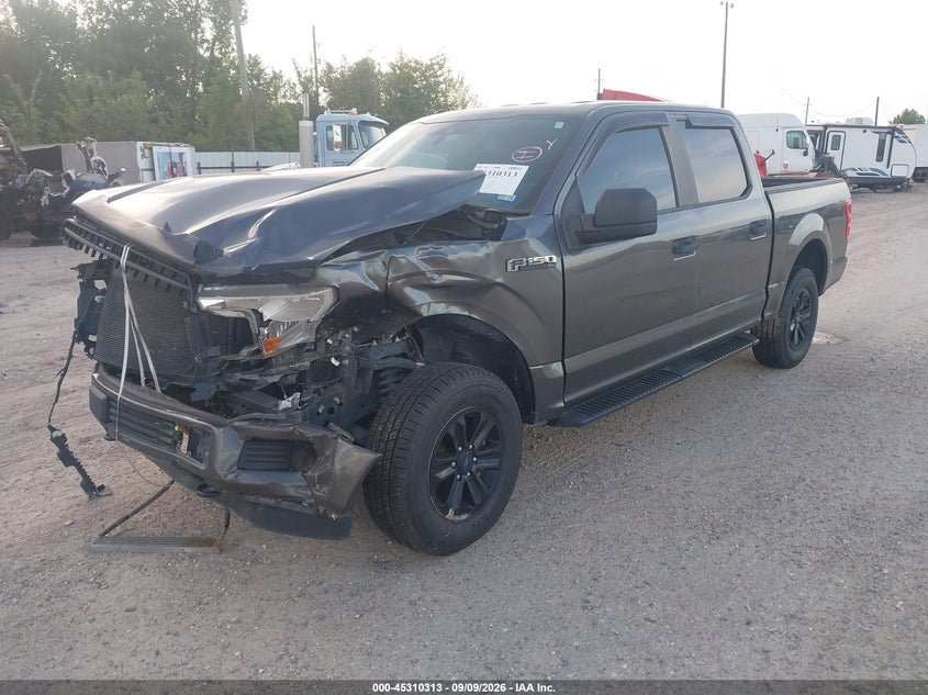 Vin: 1ftew1eb4kfb44784, lot: 45808239, ford f-150 xl 20192