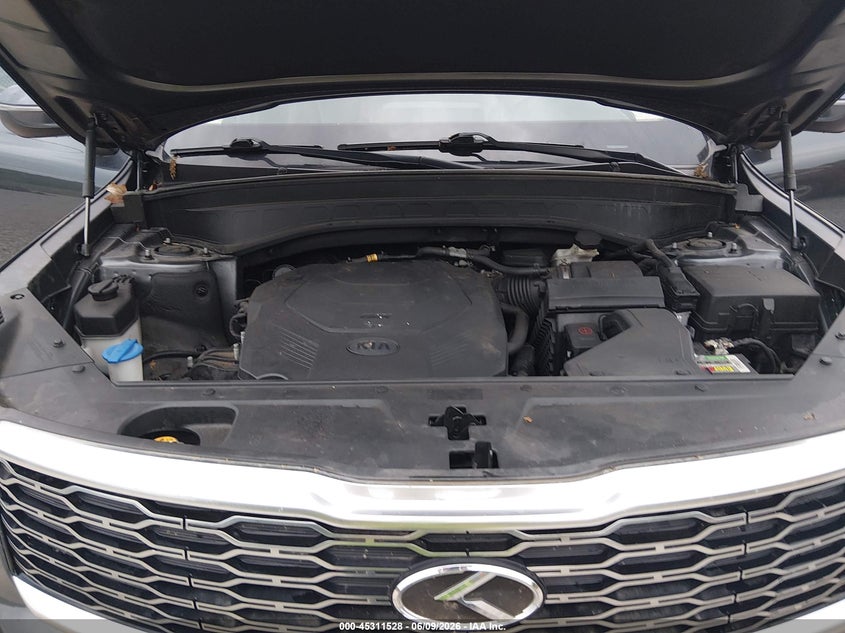 2020 Kia Telluride Ex VIN: 5XYP3DHC3LG003386 Lot: 45311528