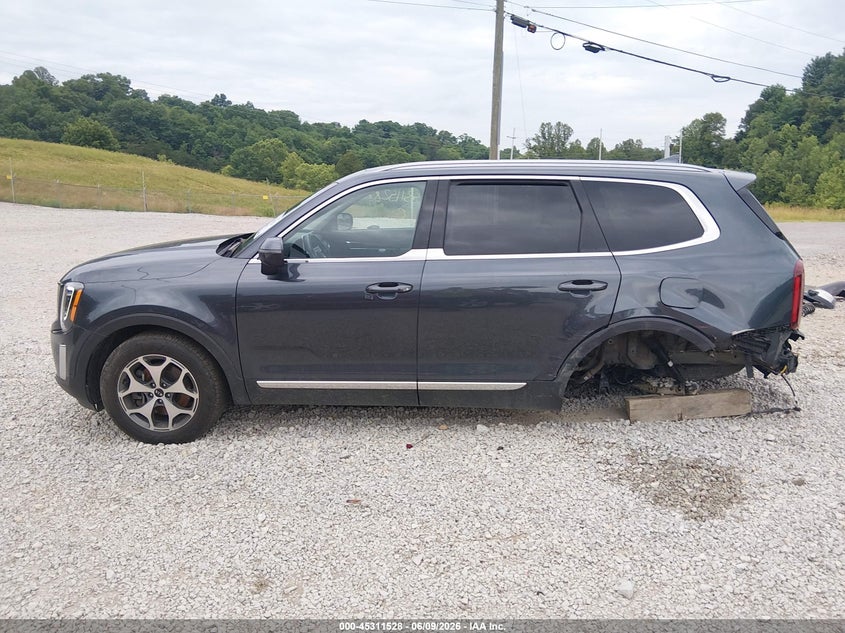 2020 Kia Telluride Ex VIN: 5XYP3DHC3LG003386 Lot: 45311528
