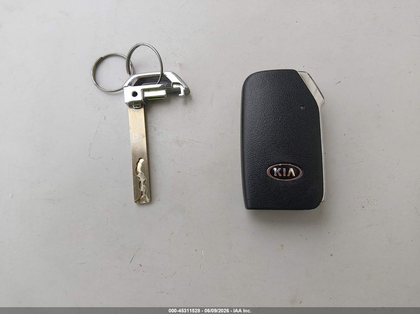 2020 Kia Telluride Ex VIN: 5XYP3DHC3LG003386 Lot: 45311528