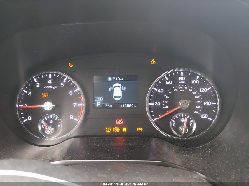 2020 Kia Telluride Ex VIN: 5XYP3DHC3LG003386 Lot: 45311528