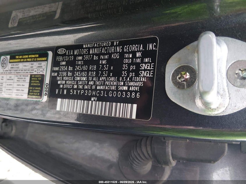 2020 Kia Telluride Ex VIN: 5XYP3DHC3LG003386 Lot: 45311528