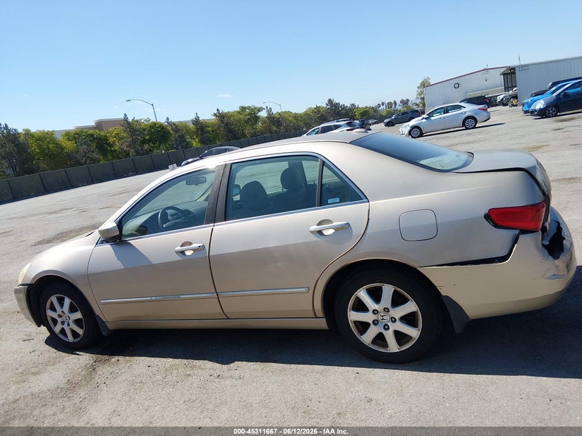 2005 Honda Accord 3.0 Ex VIN: 1HGCM66525A043345 Lot: 45311667