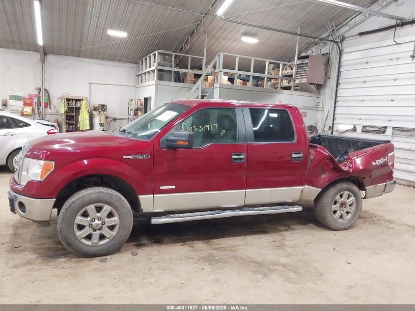 AtlanticExpress - Ford F-150