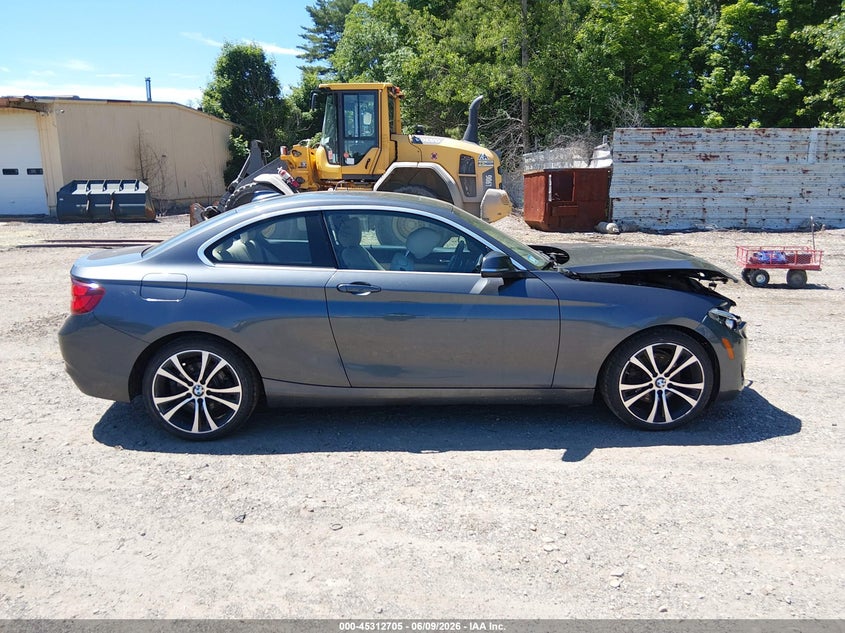 2020 BMW 230I xDrive VIN: WBA2J3C04L7E57232 Lot: 45312705