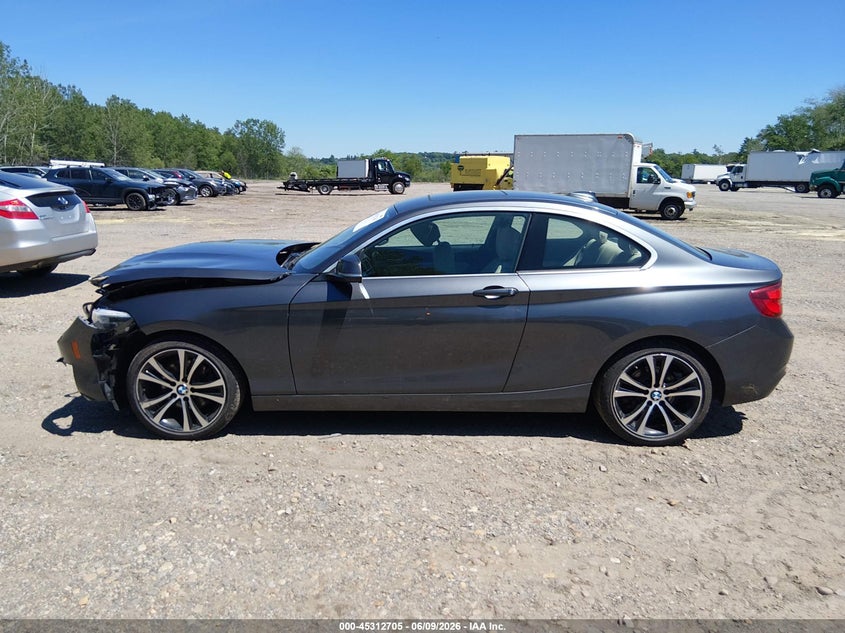 2020 BMW 230I xDrive VIN: WBA2J3C04L7E57232 Lot: 45312705