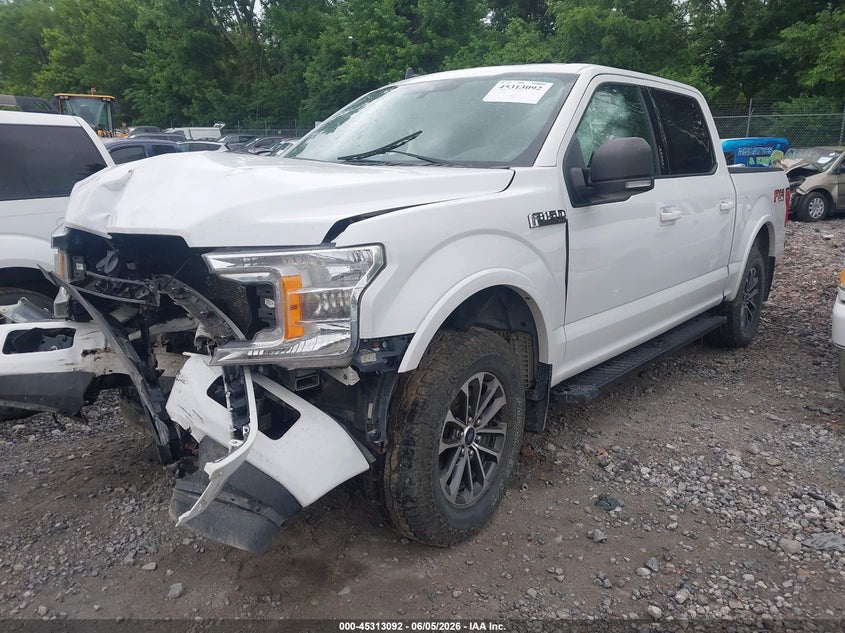 Vin: 1ftew1ep1kfd03725, lot: 45811018, ford f-150 xlt 20192