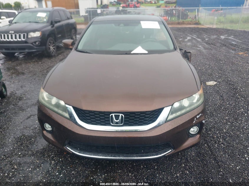 AtlanticExpress - Honda Accord