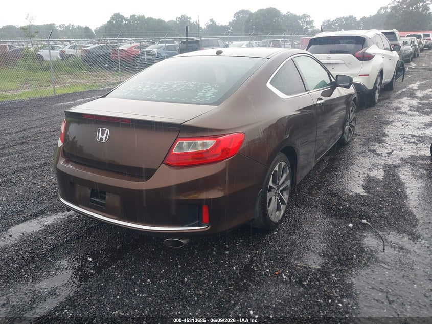AtlanticExpress - Honda Accord