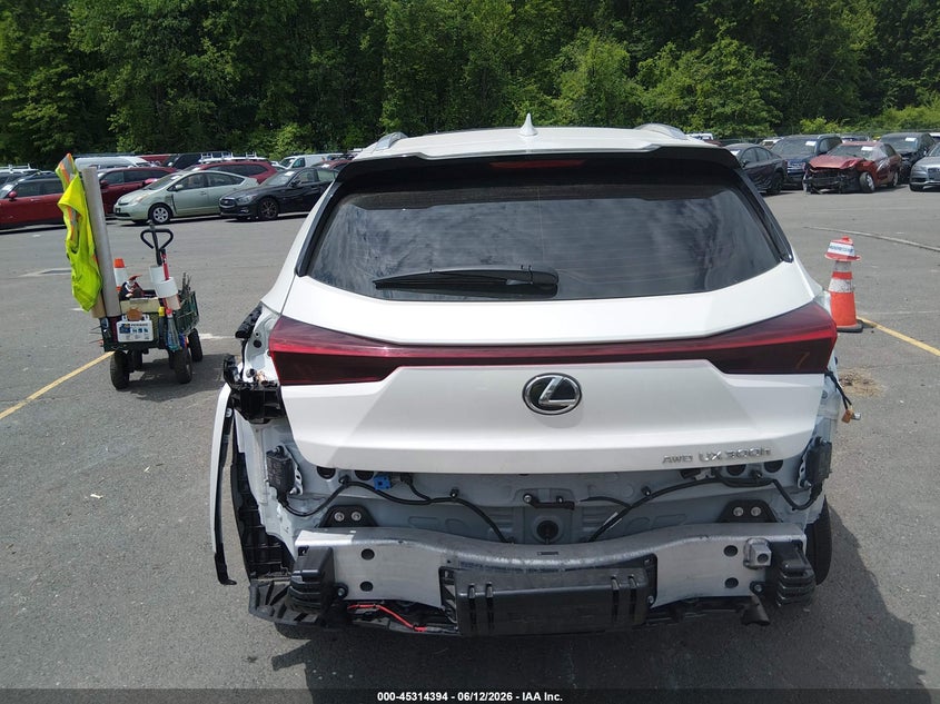 2025 Lexus Ux 300H Premium VIN: JTHUCJDH5S2009149 Lot: 45314394