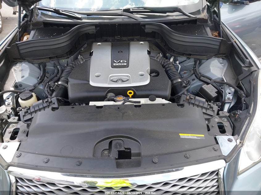 2017 Infiniti Qx50 VIN: JN1BJ0RP1HM384108 Lot: 45314423