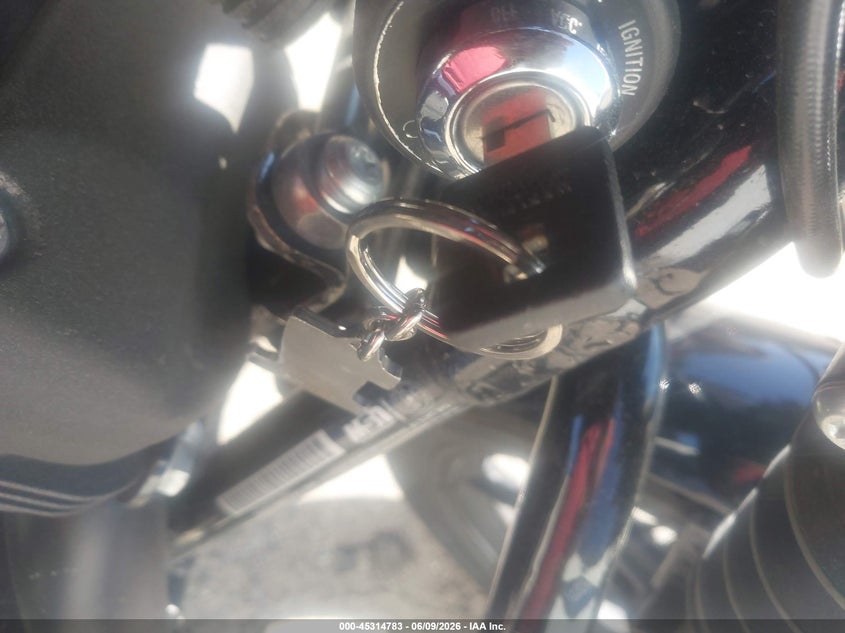 2021 Harley-Davidson Xl1200 Ns VIN: 1HD1LP318MB410725 Lot: 45314783