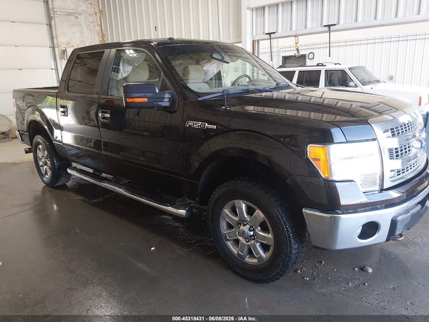 Vin: 1ftfw1efxdkf98118, lot: 45816357, ford f-150 xlt 2013 img_1