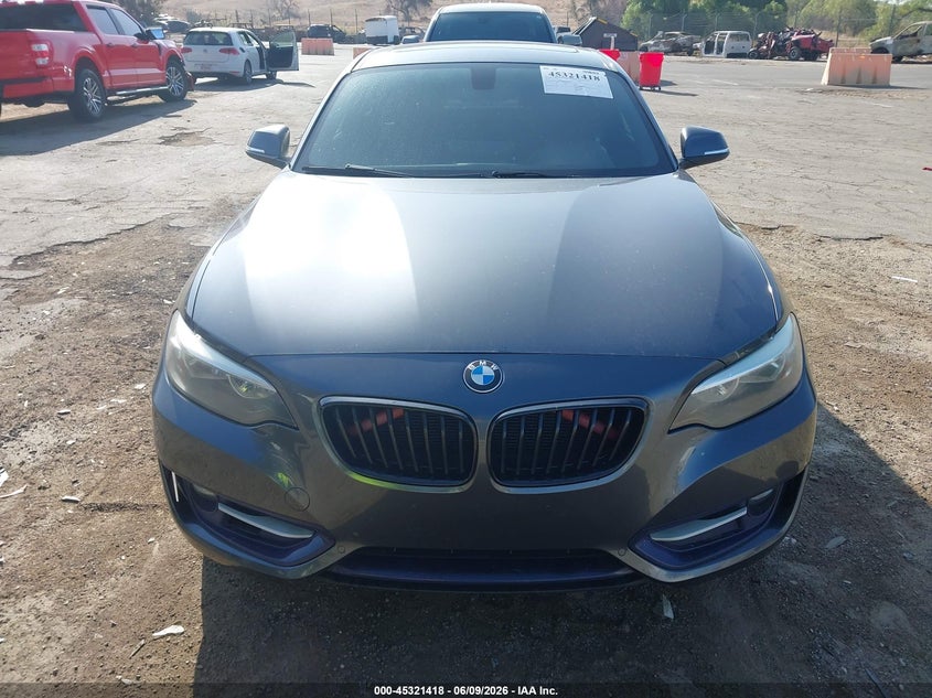 2016 BMW 228I VIN: WBA1F9C53GV546610 Lot: 45321418