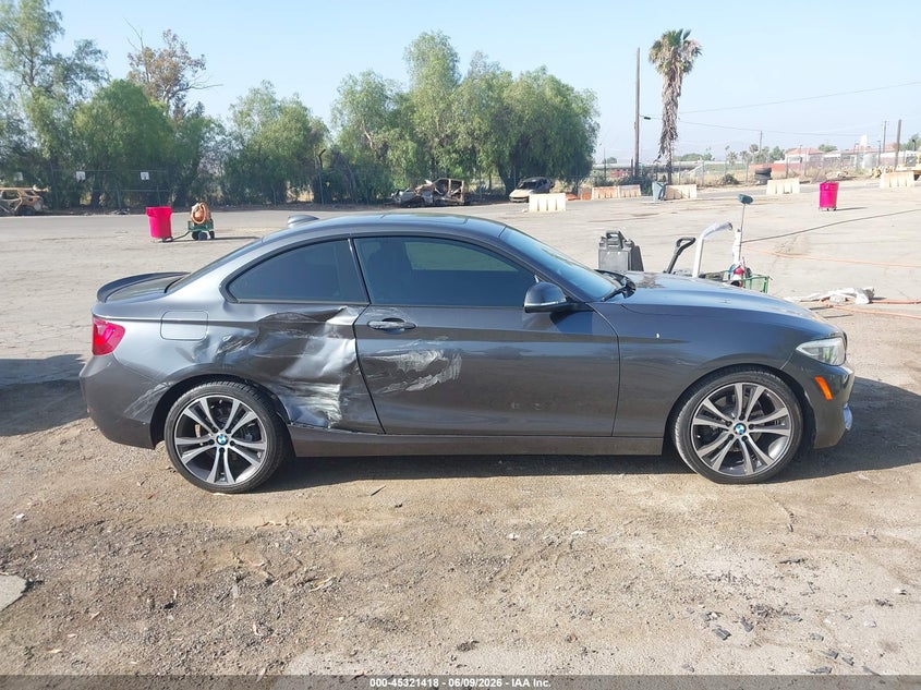 2016 BMW 228I VIN: WBA1F9C53GV546610 Lot: 45321418