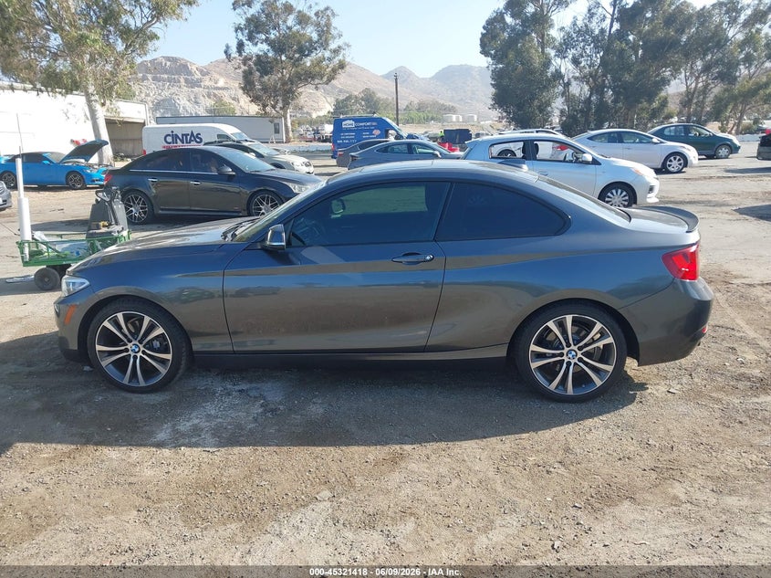 2016 BMW 228I VIN: WBA1F9C53GV546610 Lot: 45321418
