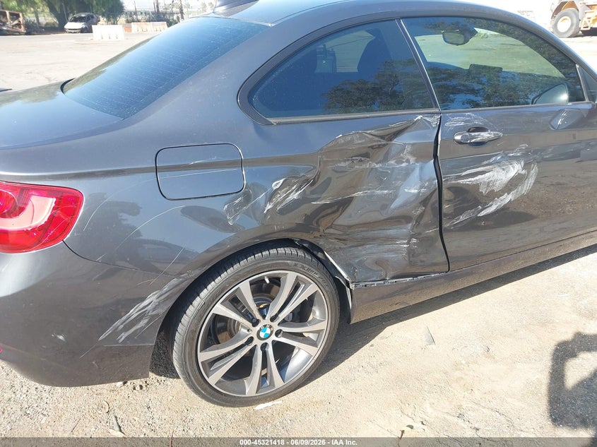 2016 BMW 228I VIN: WBA1F9C53GV546610 Lot: 45321418