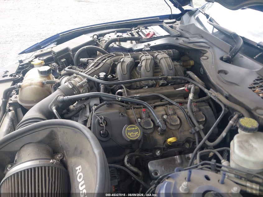 Nuotrauka 10