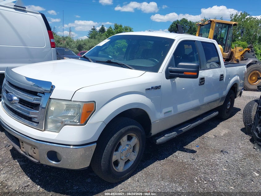 Vin: 1ftfw1ct8dkd03770, lot: 45831757, ford f-150 xlt 20132