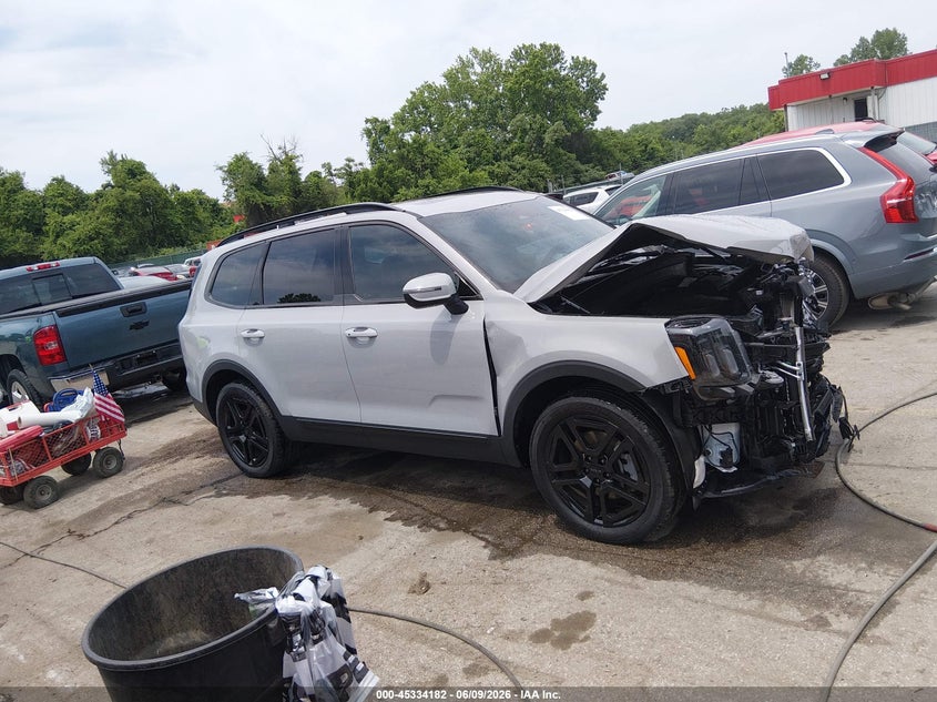 2025 Kia Telluride Ex X-Line VIN: 5XYP3DGC1SG593183 Lot: 45334182