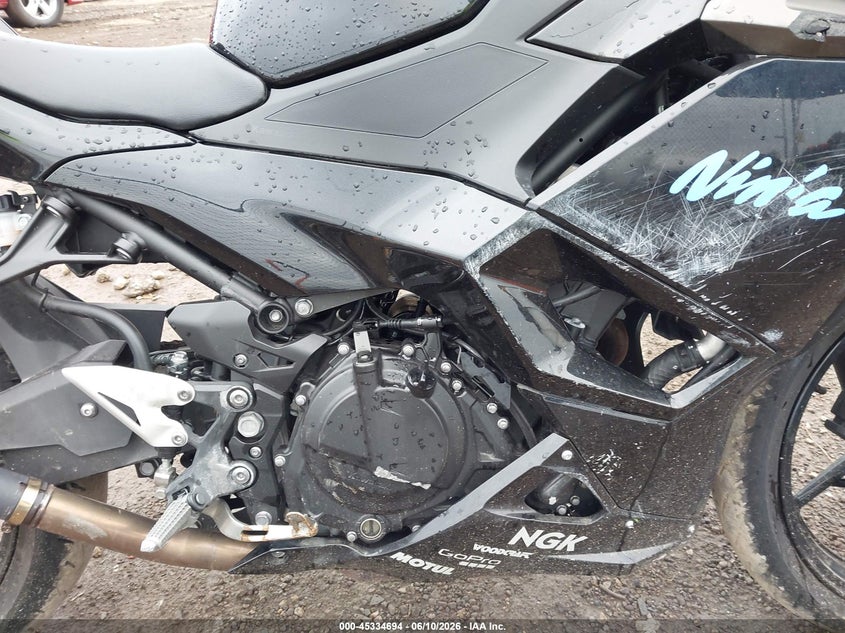 2024 Kawasaki Ex500 H VIN: ML5EXGH16RDA12244 Lot: 45334694