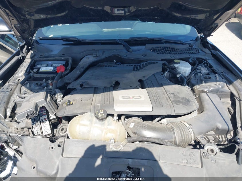 VIN 1FA6P8CFXK5118895 2019 FORD MUSTANG GT