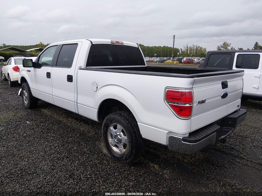 2010 FORD F-150 auction photo 3