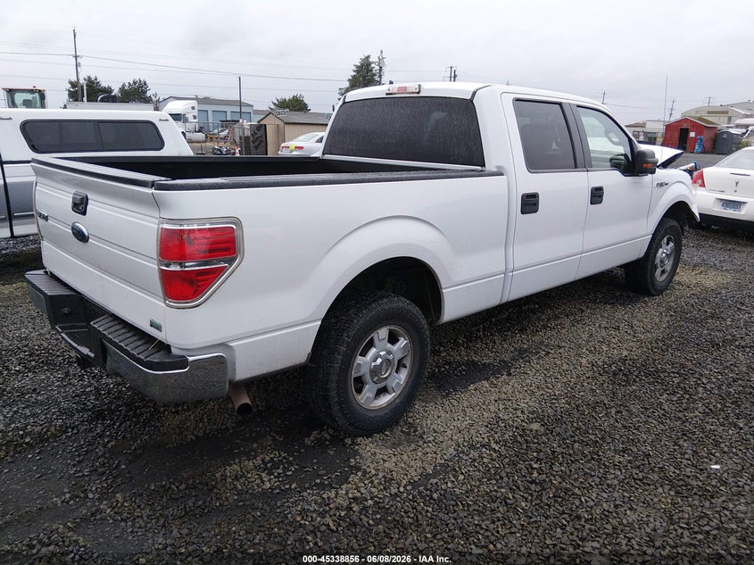 2010 FORD F-150 auction photo 4
