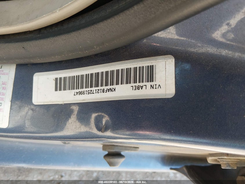 2002 Kia Spectra Ls VIN: KNAFB121725199647 Lot: 45339103