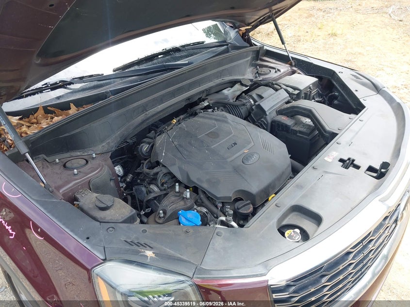2020 Kia Telluride Ex VIN: 5XYP34HC8LG067519 Lot: 45339519