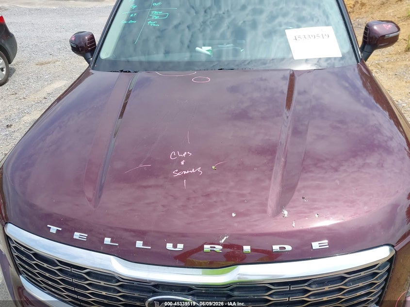2020 Kia Telluride Ex VIN: 5XYP34HC8LG067519 Lot: 45339519