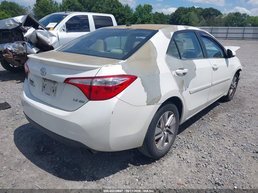 AtlanticExpress - Toyota Corolla