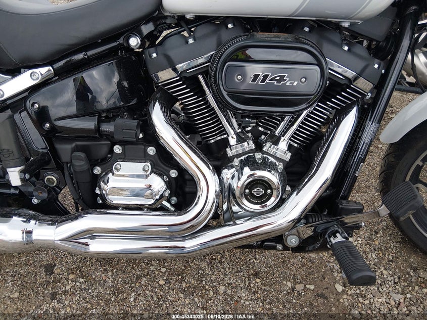 2021 Harley-Davidson Flsb VIN: 1HD1YMJ10MB041135 Lot: 45340025
