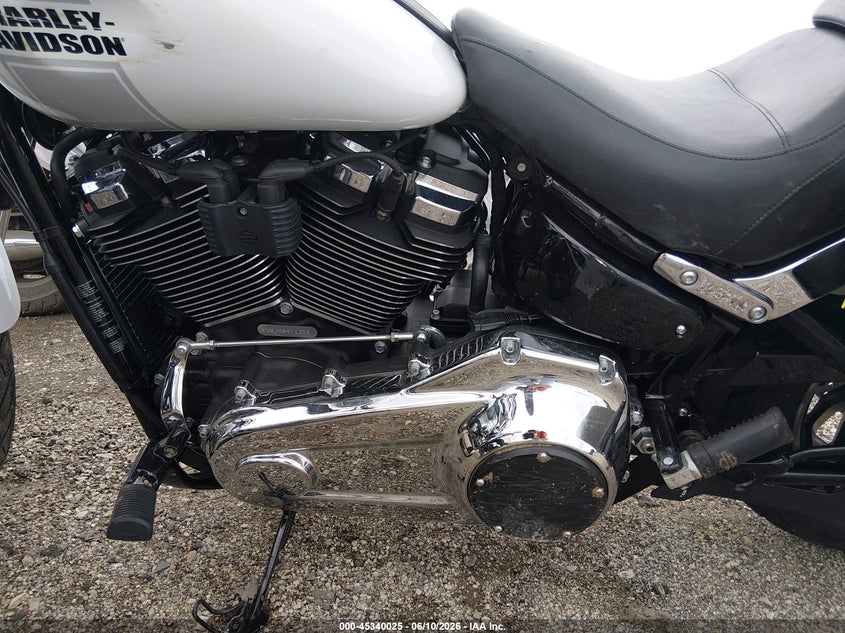 2021 Harley-Davidson Flsb VIN: 1HD1YMJ10MB041135 Lot: 45340025