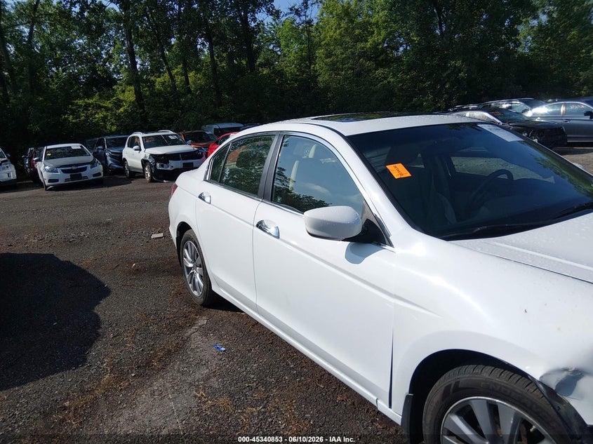 AtlanticExpress - Honda Accord