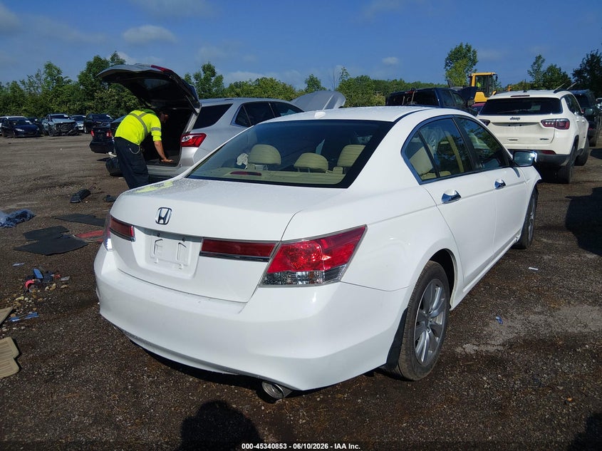 AtlanticExpress - Honda Accord