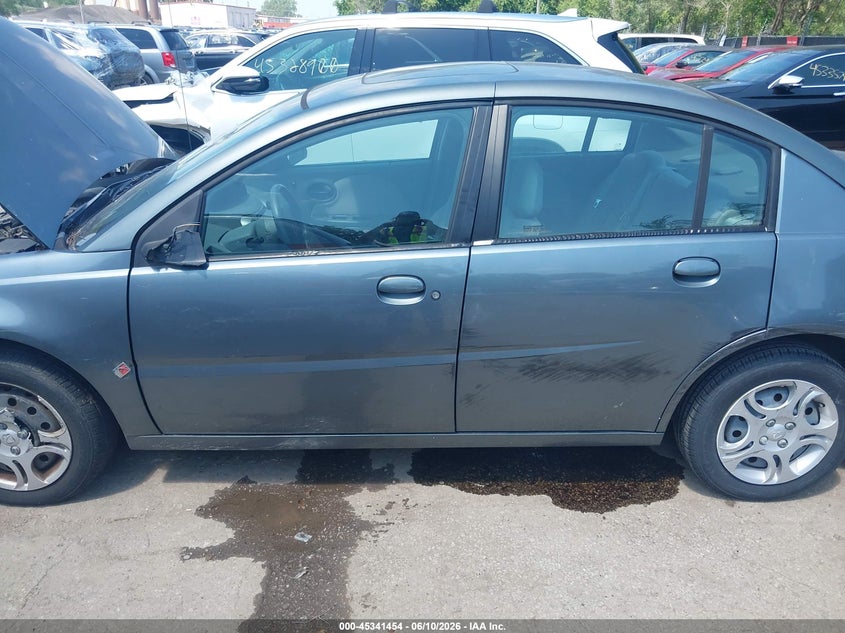 2004 Saturn Ion Ion 2 VIN: 1G8AJ52F44Z193409 Lot: 45341454