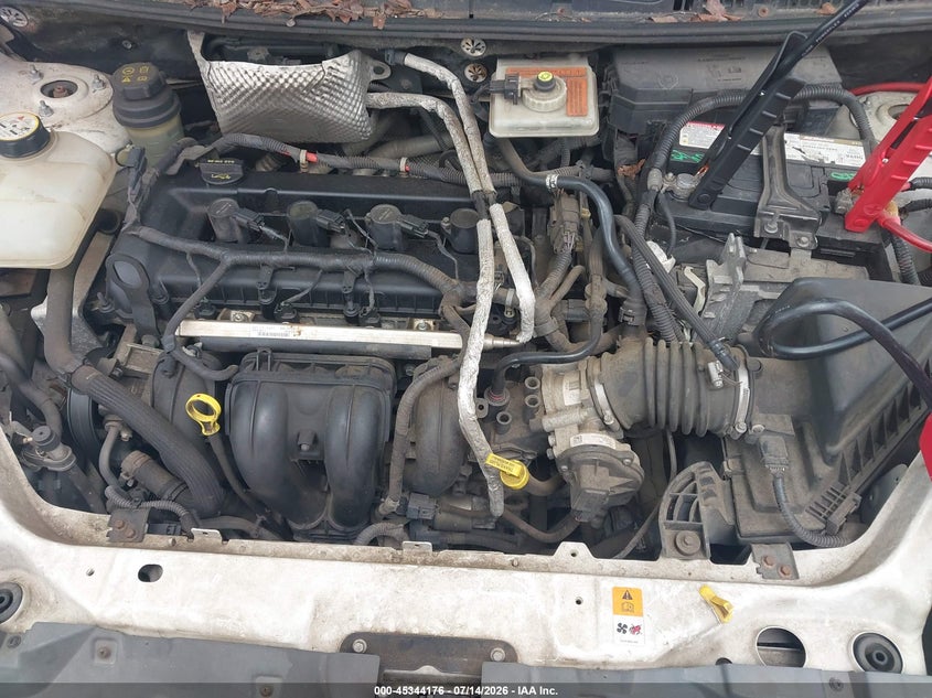 AtlanticExpress - Ford Transit Connect