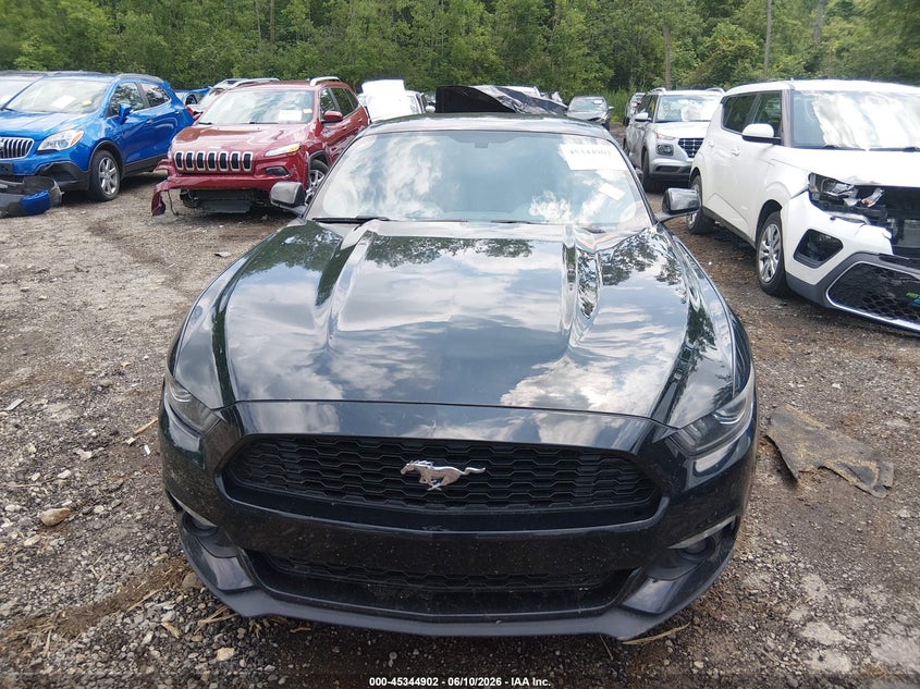 AtlanticExpress - Ford Mustang