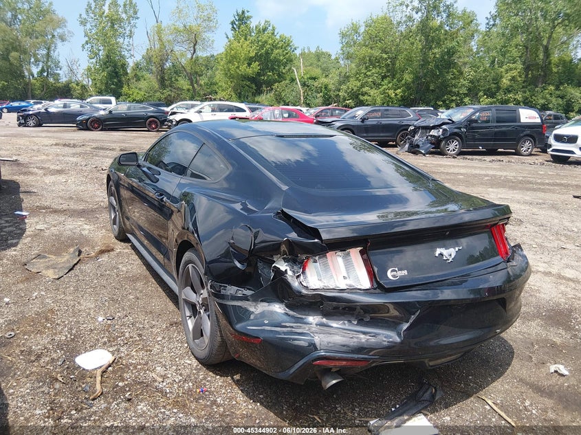 AtlanticExpress - Ford Mustang