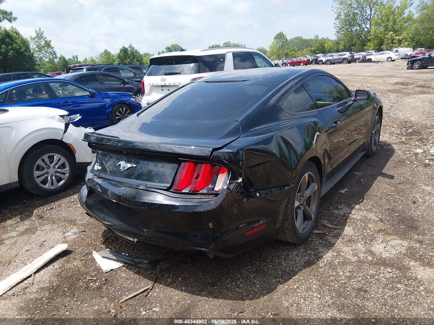 AtlanticExpress - Ford Mustang