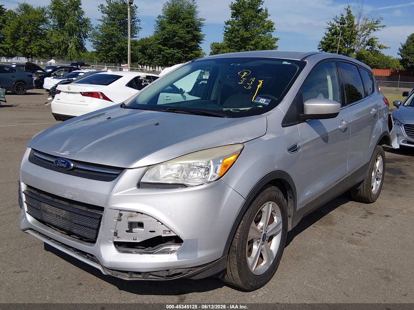AtlanticExpress - Ford Escape