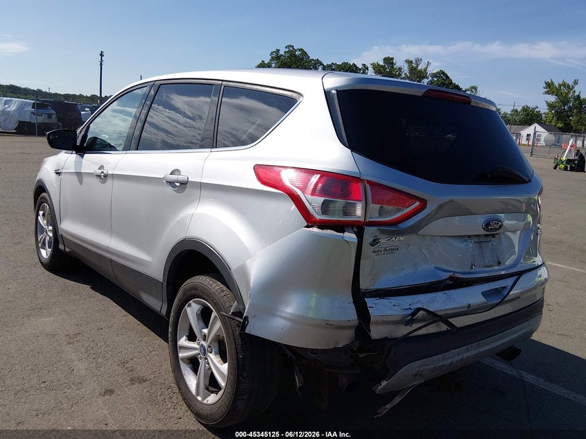 AtlanticExpress - Ford Escape