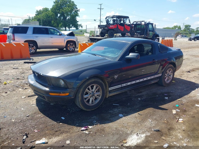 AtlanticExpress - Ford Mustang