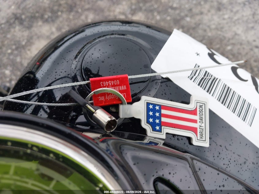 2013 Harley-Davidson Fls Softail Slim VIN: 1HD1JRV17DB049986 Lot: 45346023