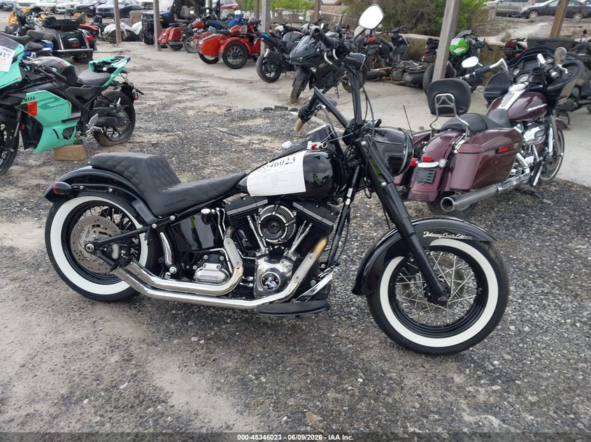 2013 Harley-Davidson Fls Softail Slim VIN: 1HD1JRV17DB049986 Lot: 45346023