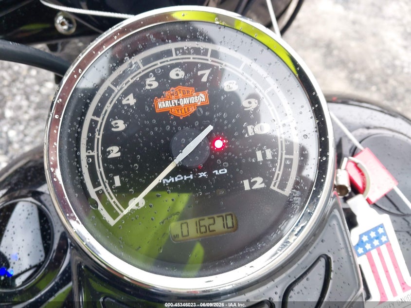 2013 Harley-Davidson Fls Softail Slim VIN: 1HD1JRV17DB049986 Lot: 45346023