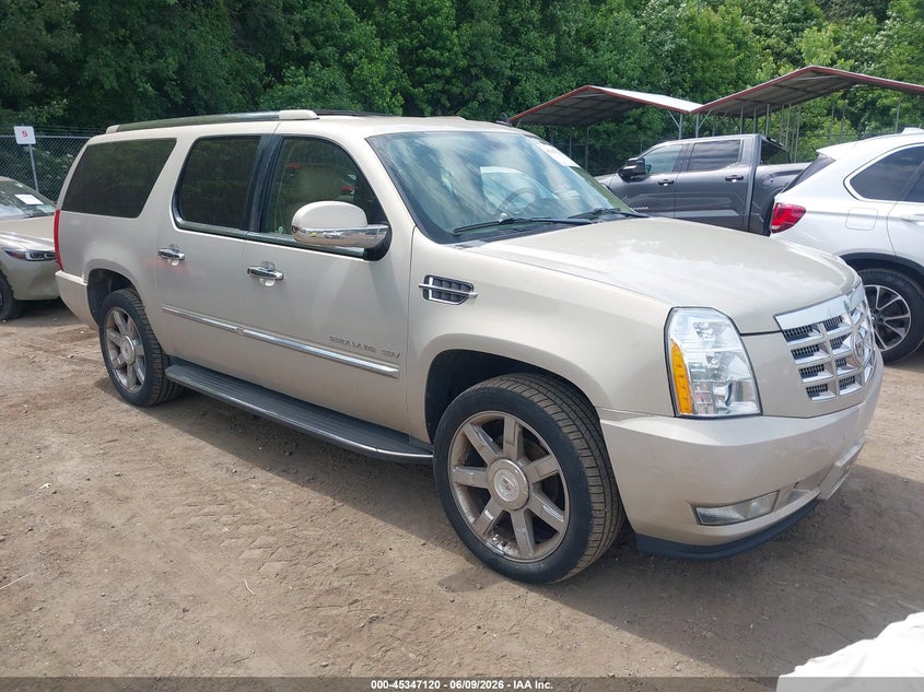 2011 CADILLAC ESCALADE ESV LUXURY