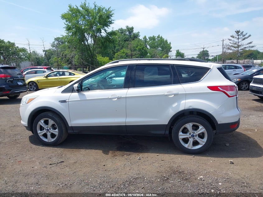 AtlanticExpress - Ford Escape