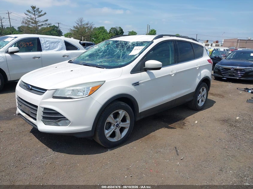AtlanticExpress - Ford Escape
